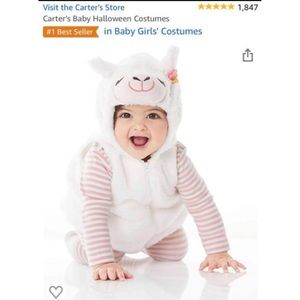 Llama Costume 3-6 Months